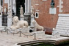 2011-06 Venedig