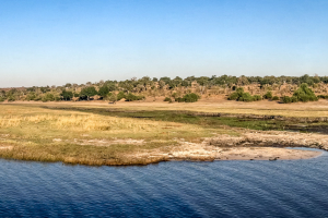 16.7. Chobe River Sunset Tour - Chobe River Front