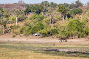 16.7. Chobe River Sunset Tour - River Front Drive