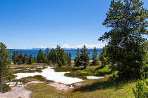 22.7. West Thumb Geyser Basin, Thumb Paint Pods