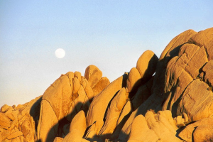 Joshua Tree NP: Jumbo Rock Campground.