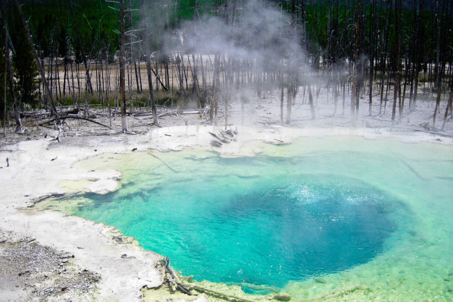 Yellowstone: Emerald Spring