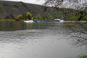 Die Mosel kurz hinter Schweich