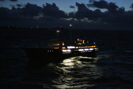 Das zweitälteste Schiff: MS Lofoten, Bj. 1964