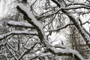 Schnee auf dem Lian ;-)