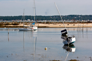 22.10. Radtour durch Cap Ferret