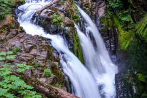 8.8.2017 - Olympic NP, Wanderung zu den Sol Duc Falls