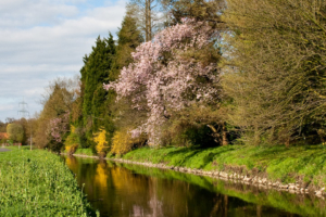 Idylle an der Wurm.