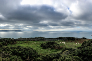 21.10.2018 - Wanderung Ilfracombe nach Woolacombe