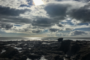 14.10.2018 - Tide Pooling, Porthleven