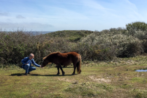 17.4.2019 - Wanderung #36, zwischen Poltesco und Cadgwith