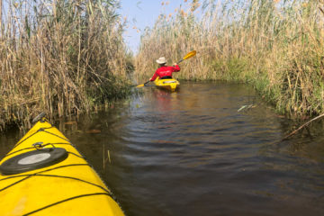 31.8.2019 - Kayak Tag 1 - enge Kanäle