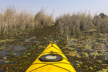 31.8.2019 - Kayak Tag 1 - enge Kanäle