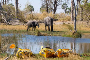 2.9.2019 - Kayak Tag 3, Elefantenbesuch beim Camp 3