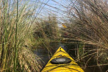 3.9.2019 - Kayak Tag 4, Kurztrip mit dem Kayak