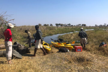 4.9.2019 - Kayak Tag 5, ein Hippo zwingt uns, alles über Land zu tragen