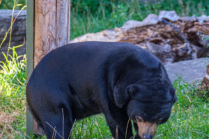 22.8.2020 - Kölner Zoo