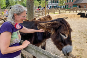 22.8.2020 - Kölner Zoo, Karin mit Boitou-Esel