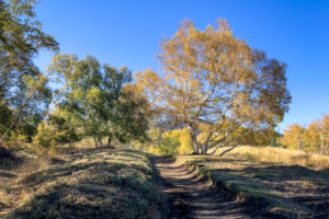 22.10.2020 - Wanderung Monte Sartorius