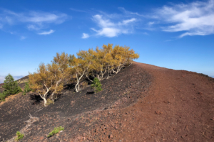 22.10.2020 - Wanderung Monte Sartorius