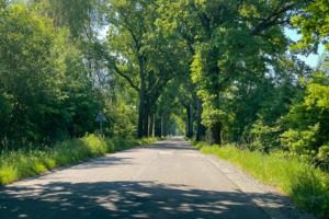 19.6.2021 - Typische Allee in Masuren