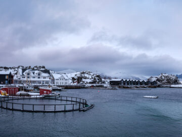 19.2.2024 - Hamn i Senja