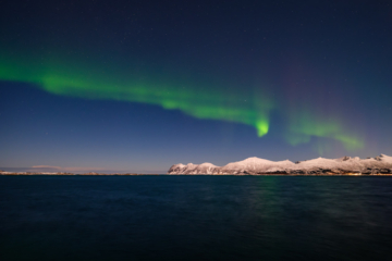 22.2.2024 - Hamn i Senja, Nordlichter