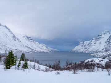 24.2.2024 - Ersfjordbotn