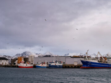 24.2.2024 - Hafen von Sommarøy