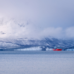 Tromsø & Senja 2024 – Sandnessundbrua