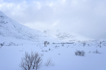 18.2.2024 - Fylkesvei 862 / Kattfjordeidet