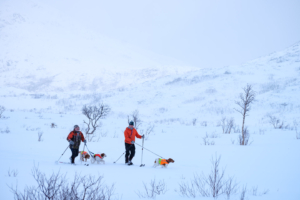 18.2.2024 - Fylkesvei / Kattfjordeidet