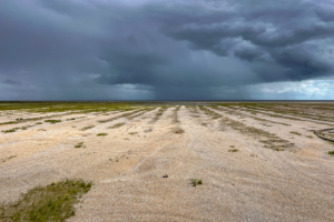 11.6.2024 - Orford Ness, die größte bewachsene Kieselanschwemmung (der Welt?)