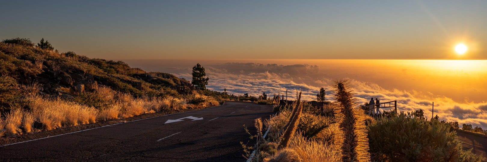 5.9.2024 - Roque de los Muchachos, Natternkopf im Sonnenuntergang