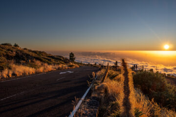 5.9.2024 - Roque de los Muchachos, Natternkopf im Sonnenuntergang