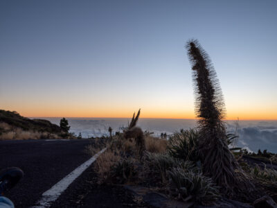 5.9.2024 - Roque de los Muchachos, Vordergrund 2