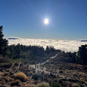 La Palma 2024 – Sunset Llano de los Animas