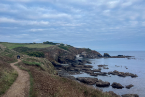 24.9.2024 - Lizard Point