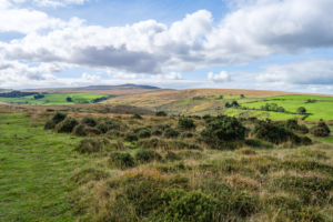 28.9.2024 - Dartmoor NP